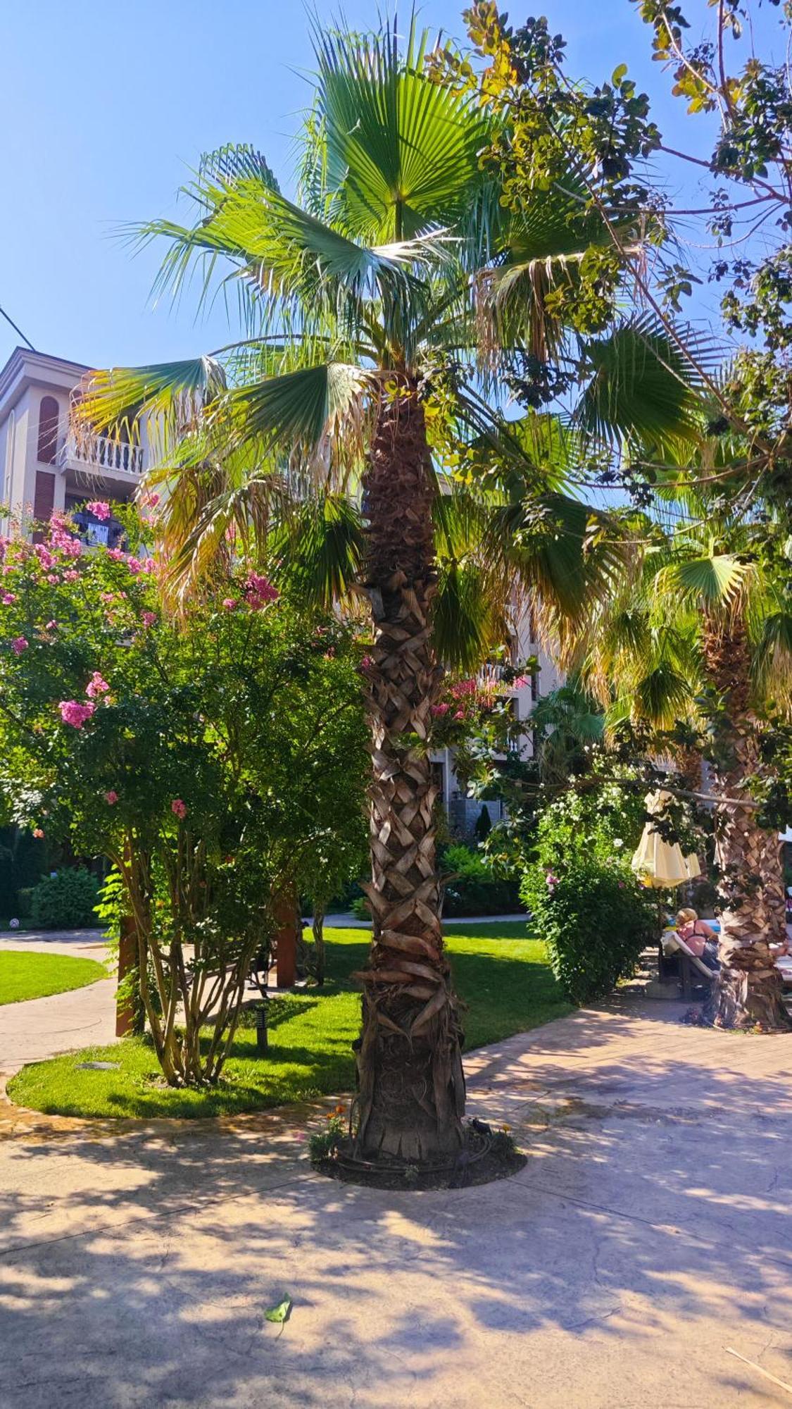 Attractive Family Apartment In Sunny Beach Cascadas Family Resort 외부 사진
